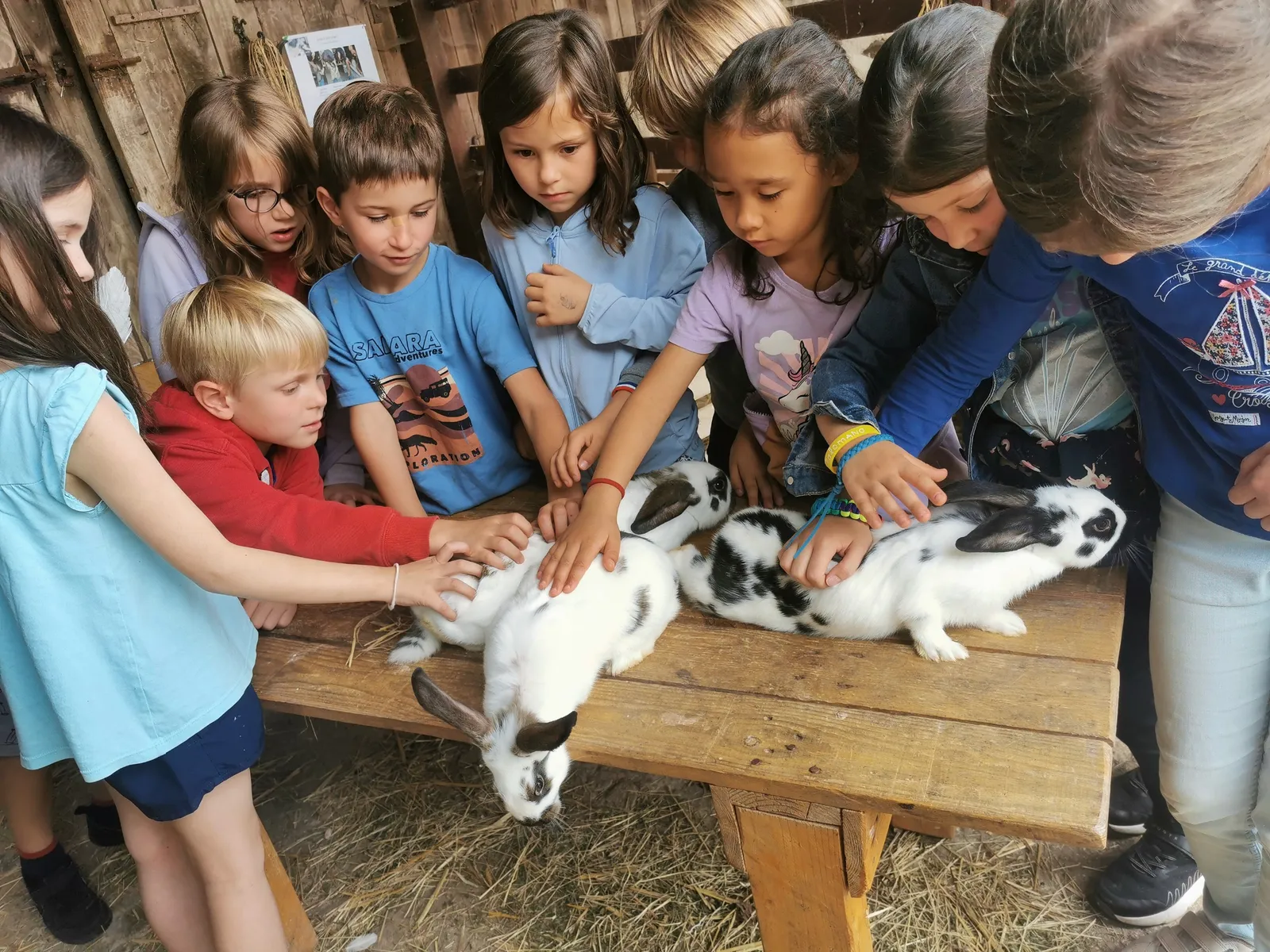 Escapade à la ferme